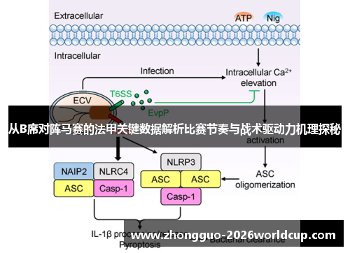 从B席对阵马赛的法甲关键数据解析比赛节奏与战术驱动力机理探秘