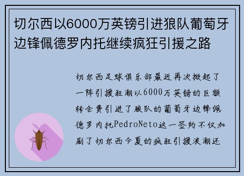切尔西以6000万英镑引进狼队葡萄牙边锋佩德罗内托继续疯狂引援之路 切尔西以6000万英镑引进狼队葡萄牙边锋佩德罗内托继续疯狂引援之路